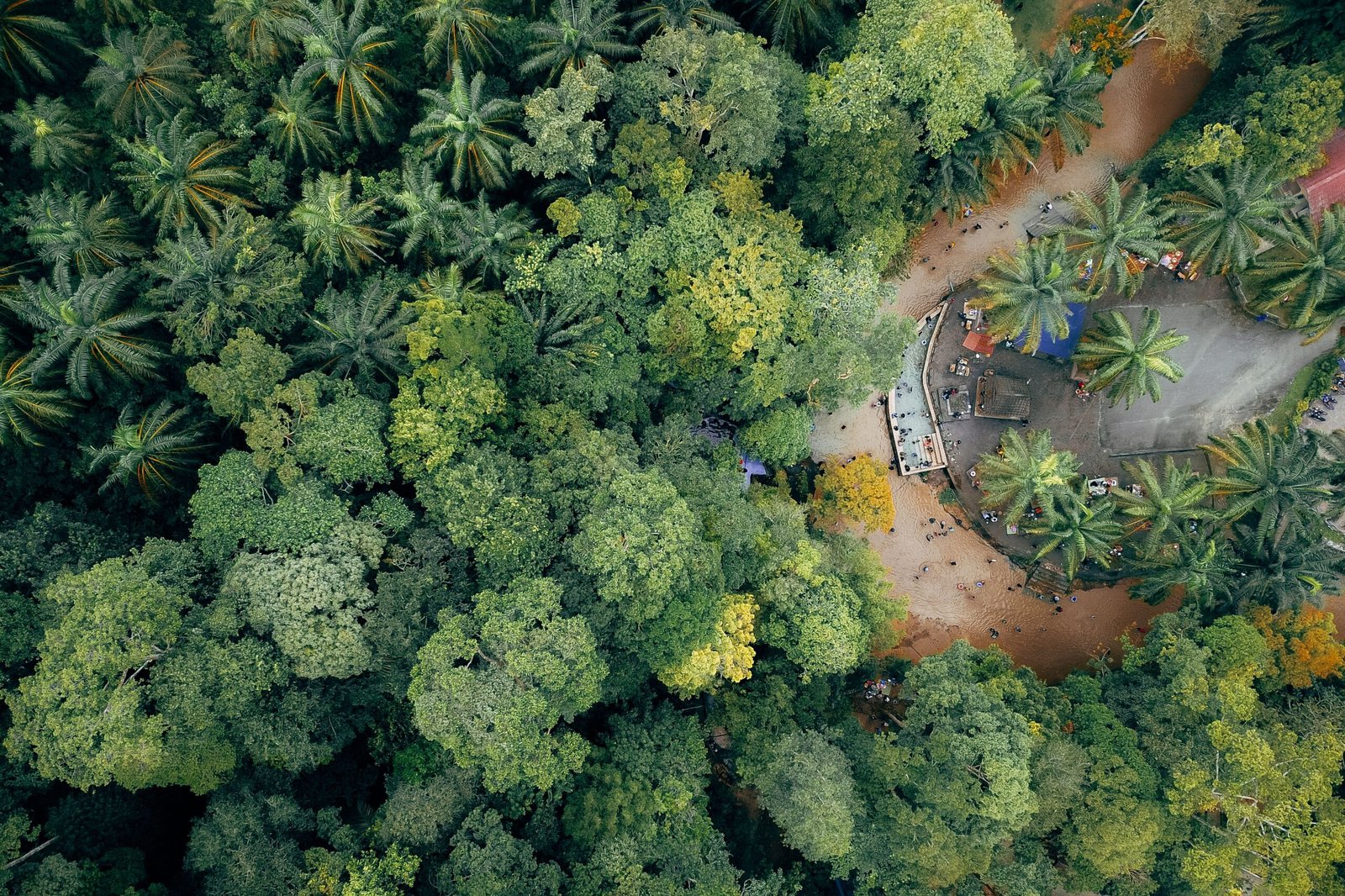 Malaysia Discovery Package - Image 5